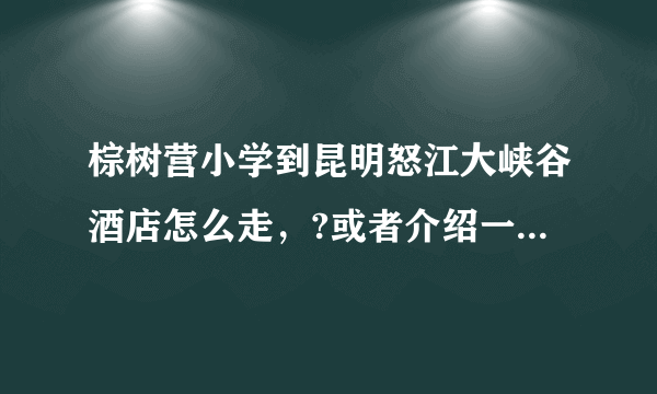 棕树营小学到昆明怒江大峡谷酒店怎么走，?或者介绍一下里小学附近好点的宾馆。